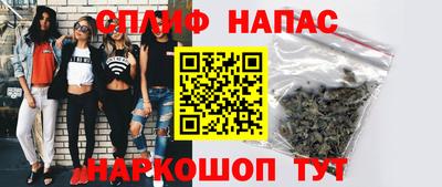 стаф Бузулук
