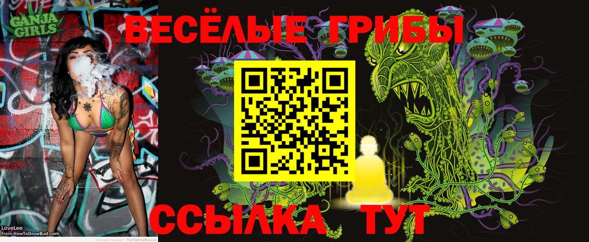 Галлюциногенные грибы Psilocybe  где найти   Люберцы  Вход с VPN 