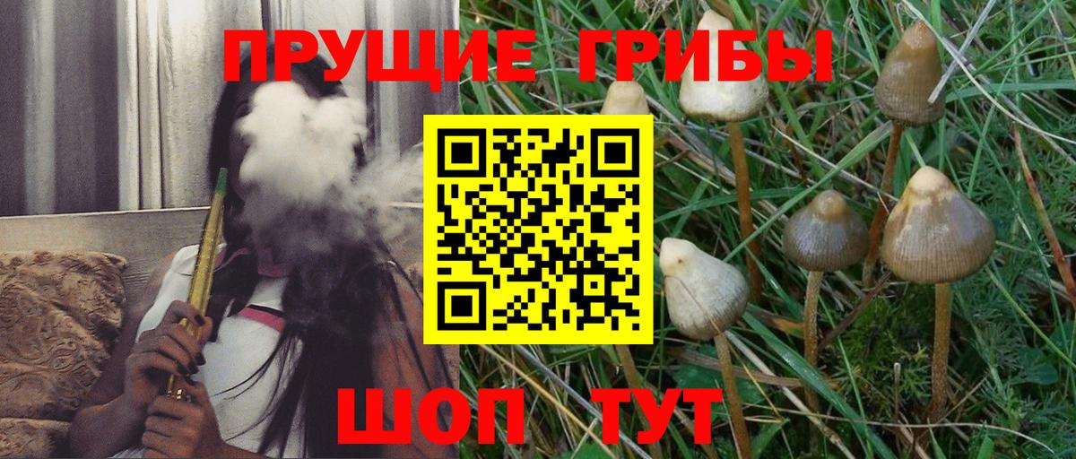 Псилоцибиновые грибы MAGIC MUSHROOMS Люберцы